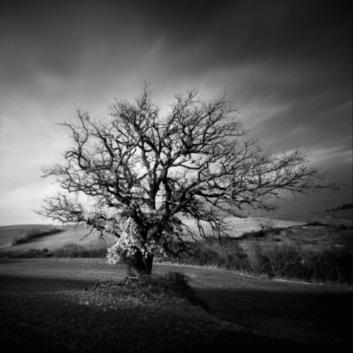 Heavensdust : Scars That Were Meant to Be